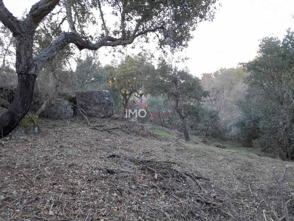 Terreno Agricola ou Rústico para Venda em Santa Maria de Marvão Foto 12