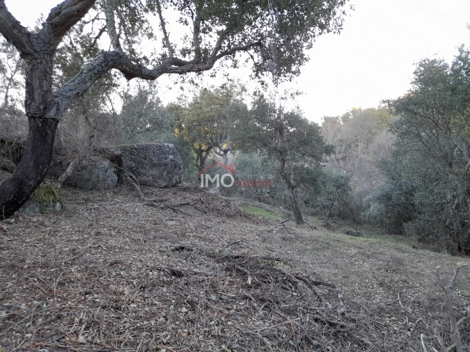 Terreno Agricola ou Rústico para Venda em Santa Maria de Marvão Foto 13