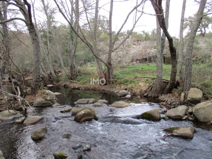 Terreno Agricola ou Rústico para Venda em Santa Maria de Marvão Foto 21