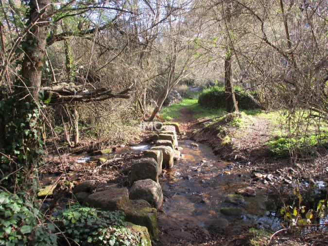 Terreno Agricola ou Rústico para Venda em Santa Maria de Marvão Foto 3