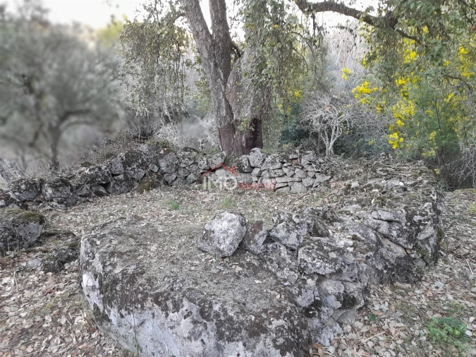 Terreno Agricola ou Rústico para Venda em Santa Maria de Marvão Foto 11
