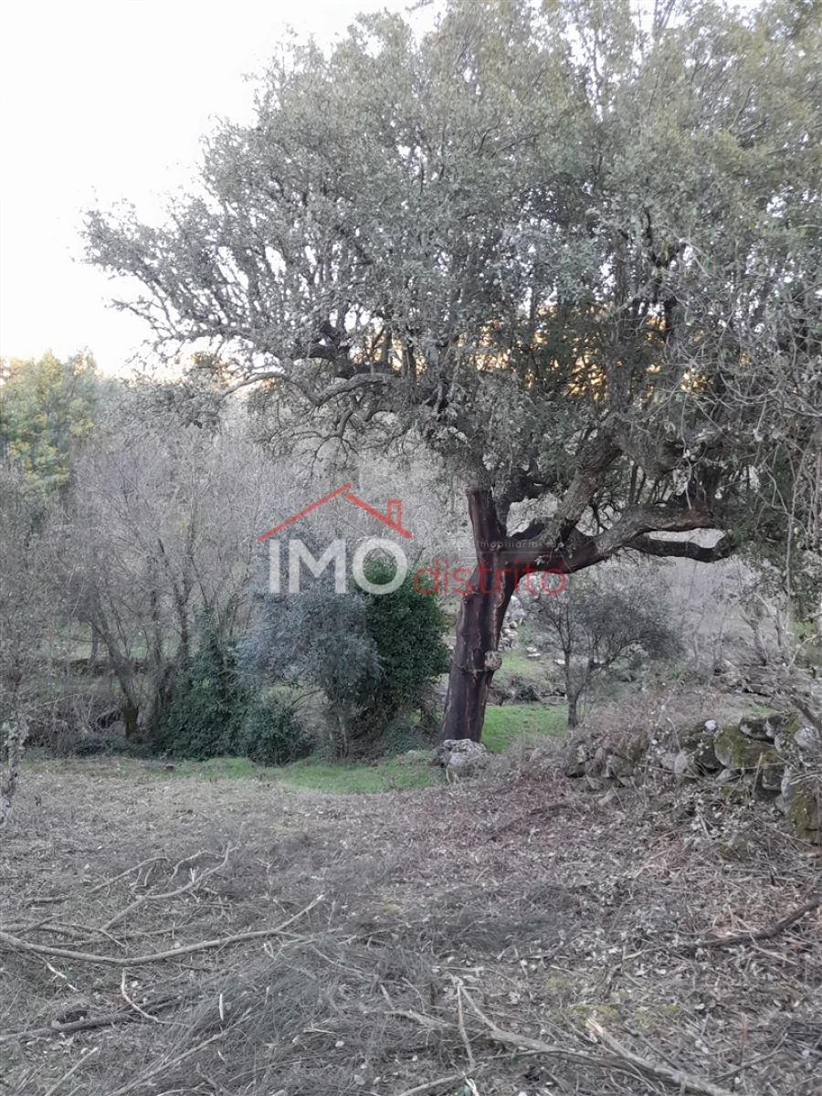 Terreno Agricola ou Rústico para Venda em Santa Maria de Marvão Foto 12