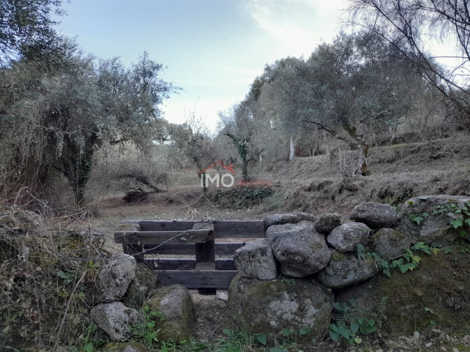Terreno Agricola ou Rústico para Venda em Santa Maria de Marvão Foto 7