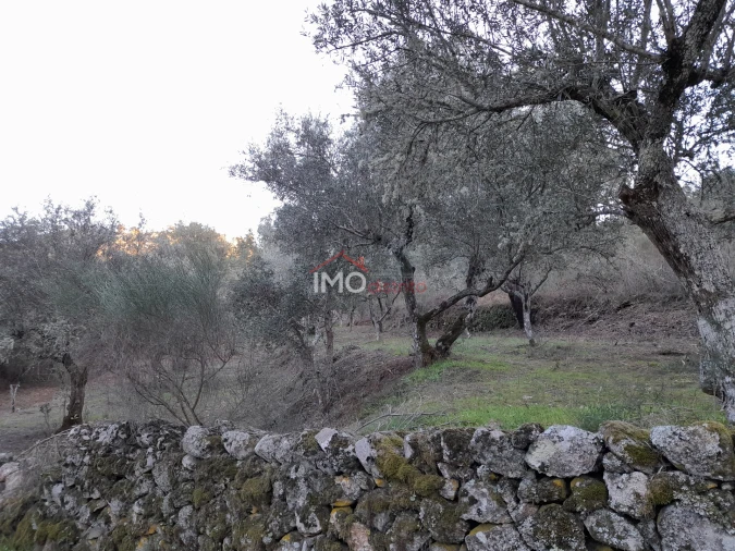 Terreno Agricola ou Rústico para Venda em Santa Maria de Marvão Foto 16