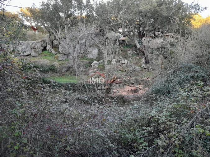 Terreno Agricola ou Rústico para Venda em Santa Maria de Marvão Foto 9