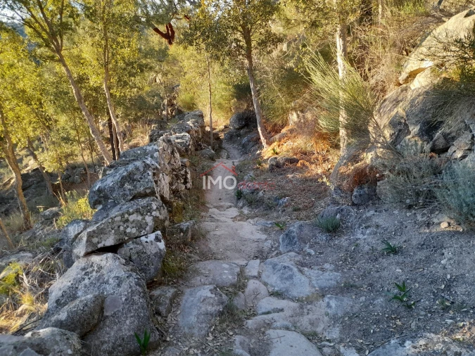 Terreno Agricola ou Rústico para Venda em Santa Maria de Marvão Foto 2