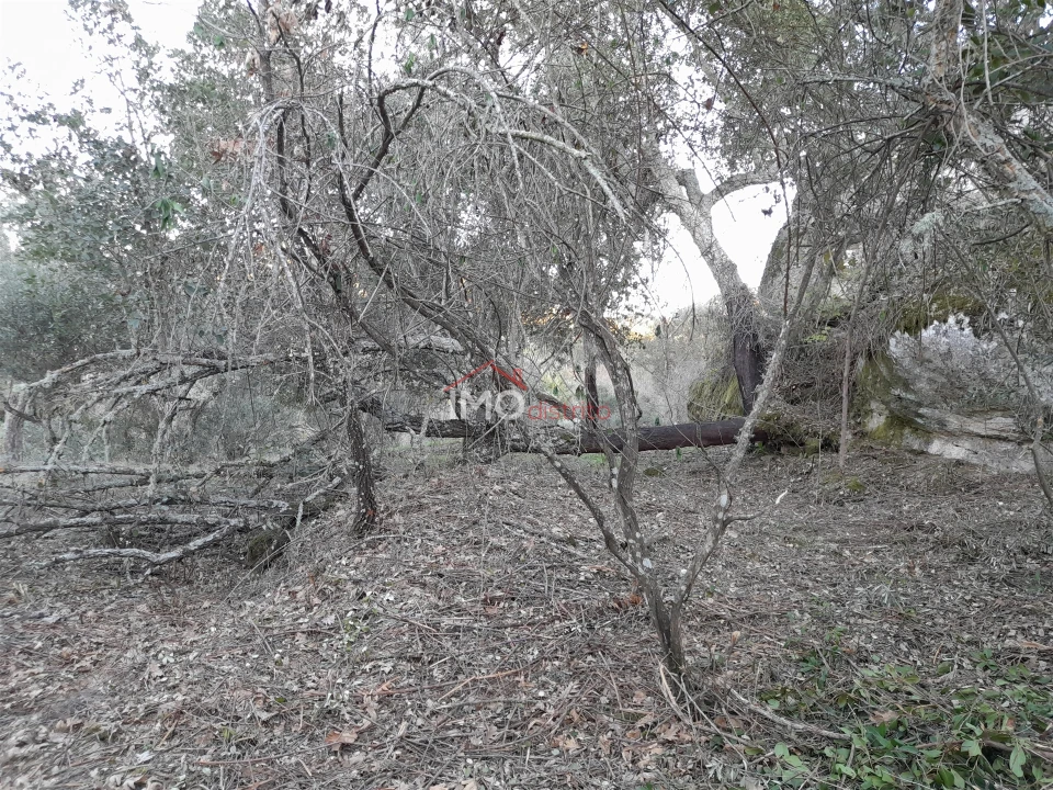 Terreno Agricola ou Rústico para Venda em Santa Maria de Marvão Foto 14