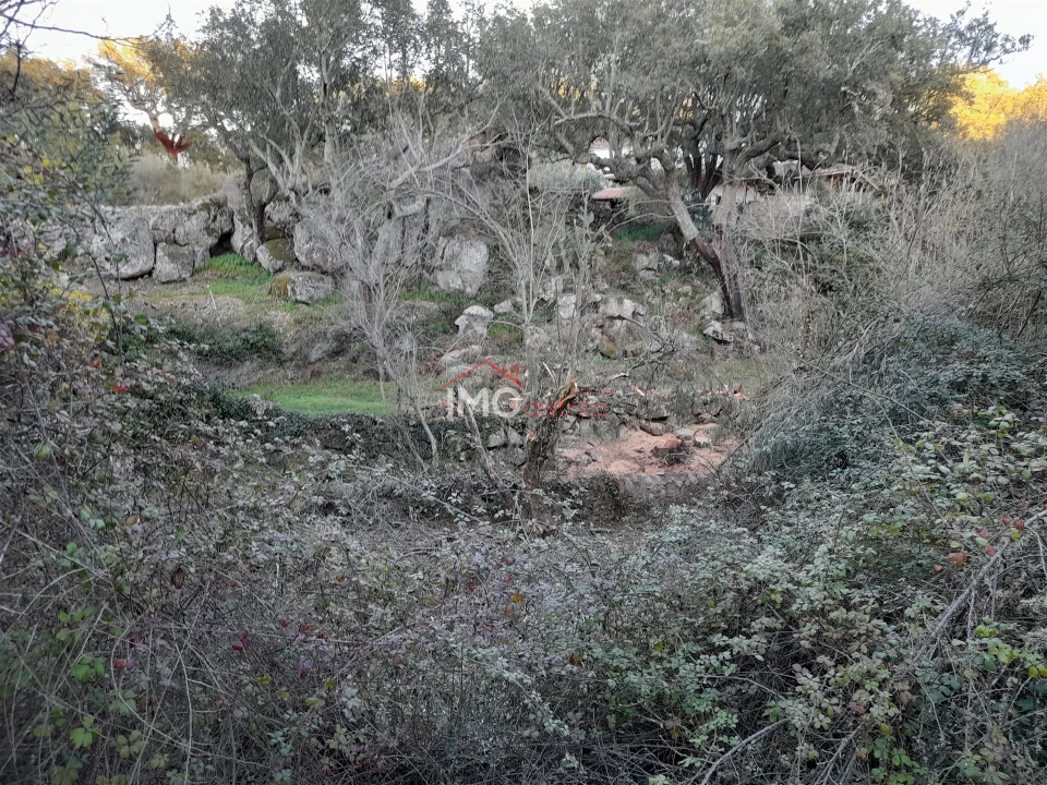 Terreno Agricola ou Rústico para Venda em Santa Maria de Marvão Foto 8
