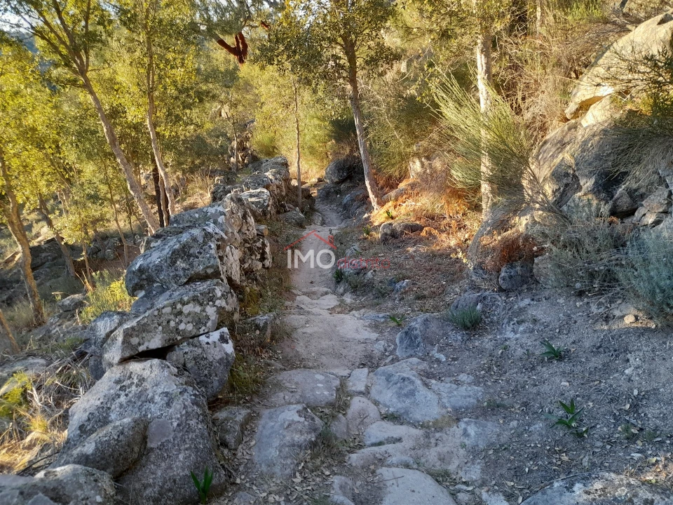Terreno Agricola ou Rústico para Venda em Santa Maria de Marvão Foto 2