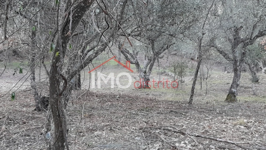 Terreno Agricola ou Rústico para Venda em Santa Maria de Marvão