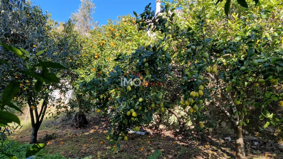 Moradia T6 para Venda em Santiago Maior Foto 35