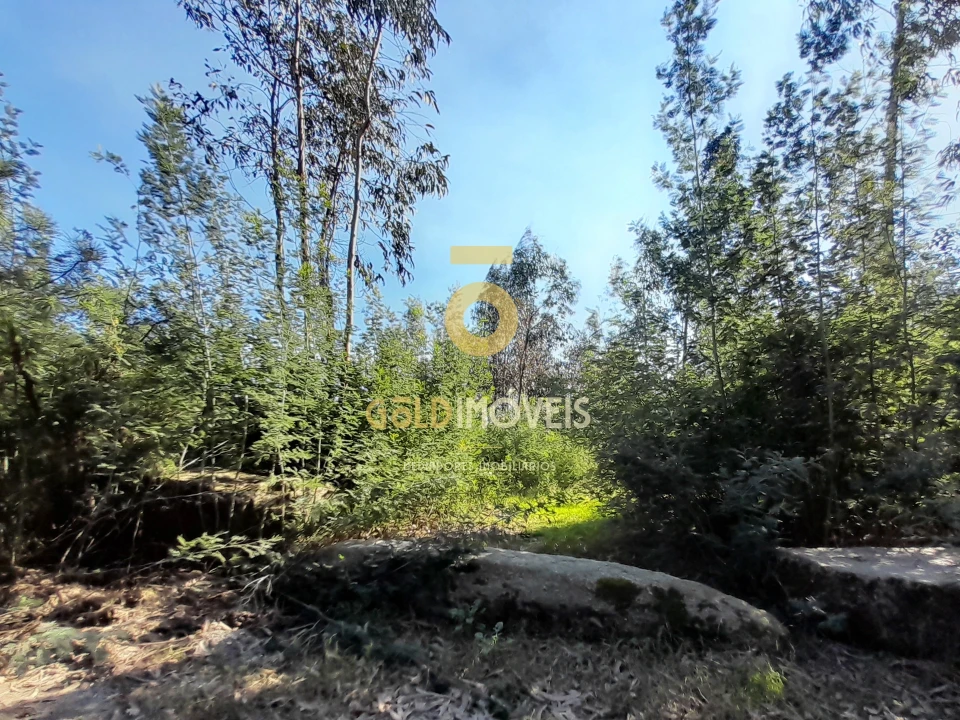 Terreno para Venda em Alpendorada, Várzea e Torrão Foto 3