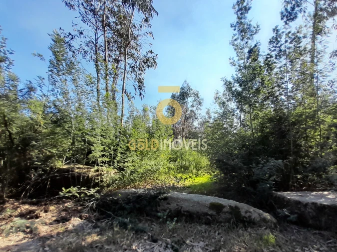 Terreno para Venda em Alpendorada, Várzea e Torrão Foto 3