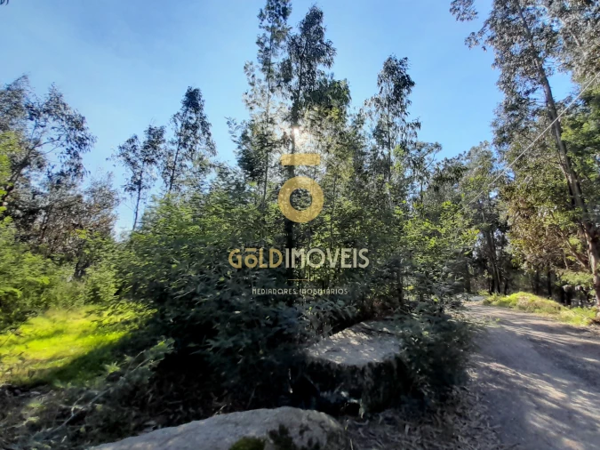 Terreno para Venda em Alpendorada, Várzea e Torrão Foto 1