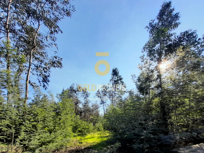 Terreno para Venda em Alpendorada, Várzea e Torrão Foto 2