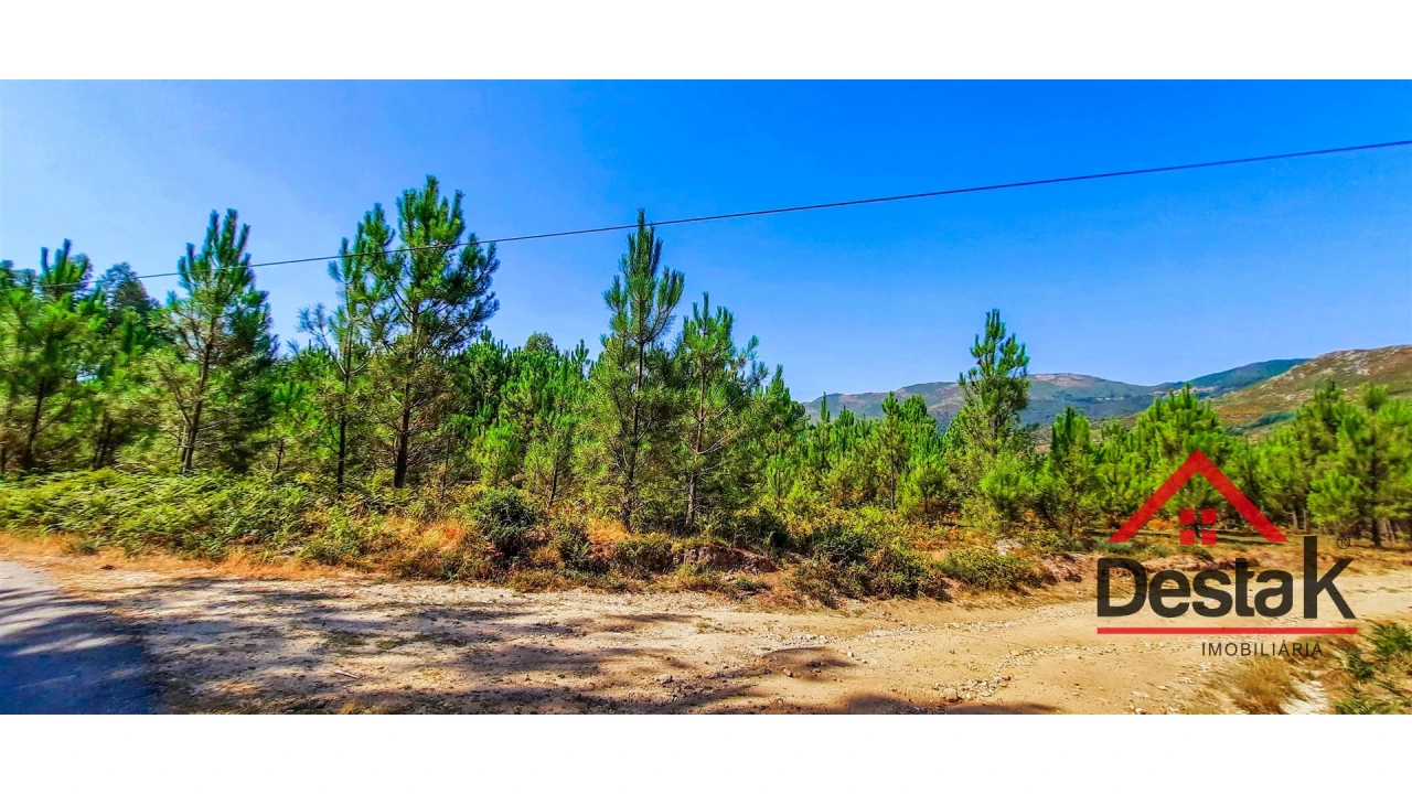 Terreno Agricola ou Rústico para Venda em Santa Cruz da Trapa e São Cristóvão de Lafões Foto 9