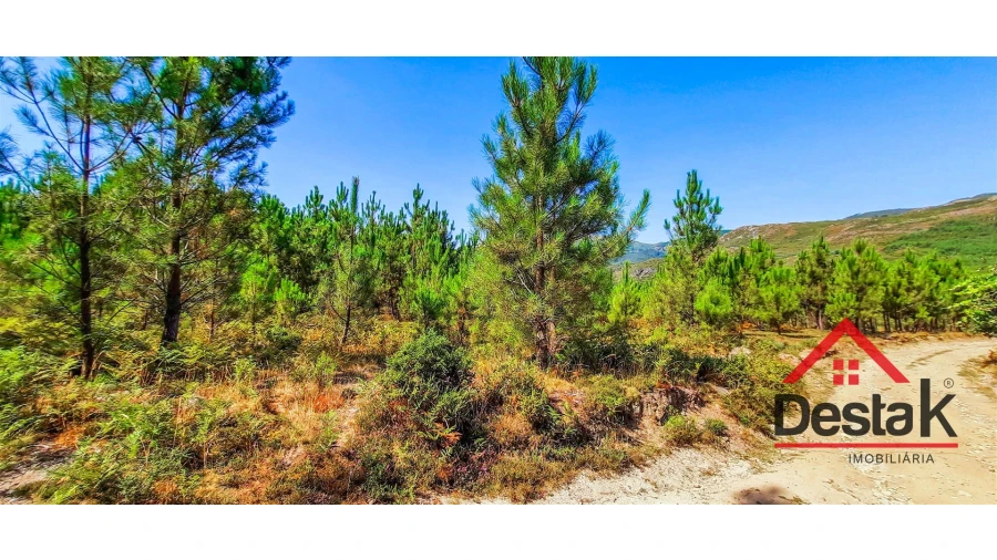 Terreno Agricola ou Rústico para Venda em Santa Cruz da Trapa e São Cristóvão de Lafões Foto 2