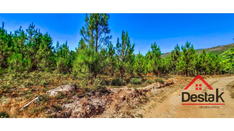 Terreno Agricola ou Rústico para Venda em Santa Cruz da Trapa e São Cristóvão de Lafões Foto 4