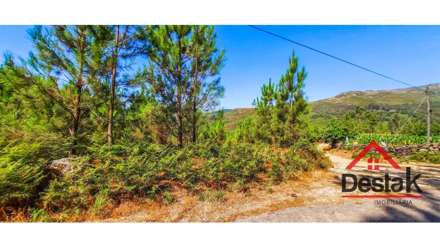 Terreno Agricola ou Rústico para Venda em Santa Cruz da Trapa e São Cristóvão de Lafões Foto 8