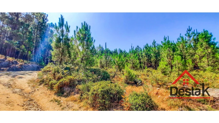 Terreno Agricola ou Rústico para Venda em Santa Cruz da Trapa e São Cristóvão de Lafões Foto 5