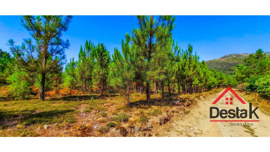 Terreno Agricola ou Rústico para Venda em Santa Cruz da Trapa e São Cristóvão de Lafões Foto 6
