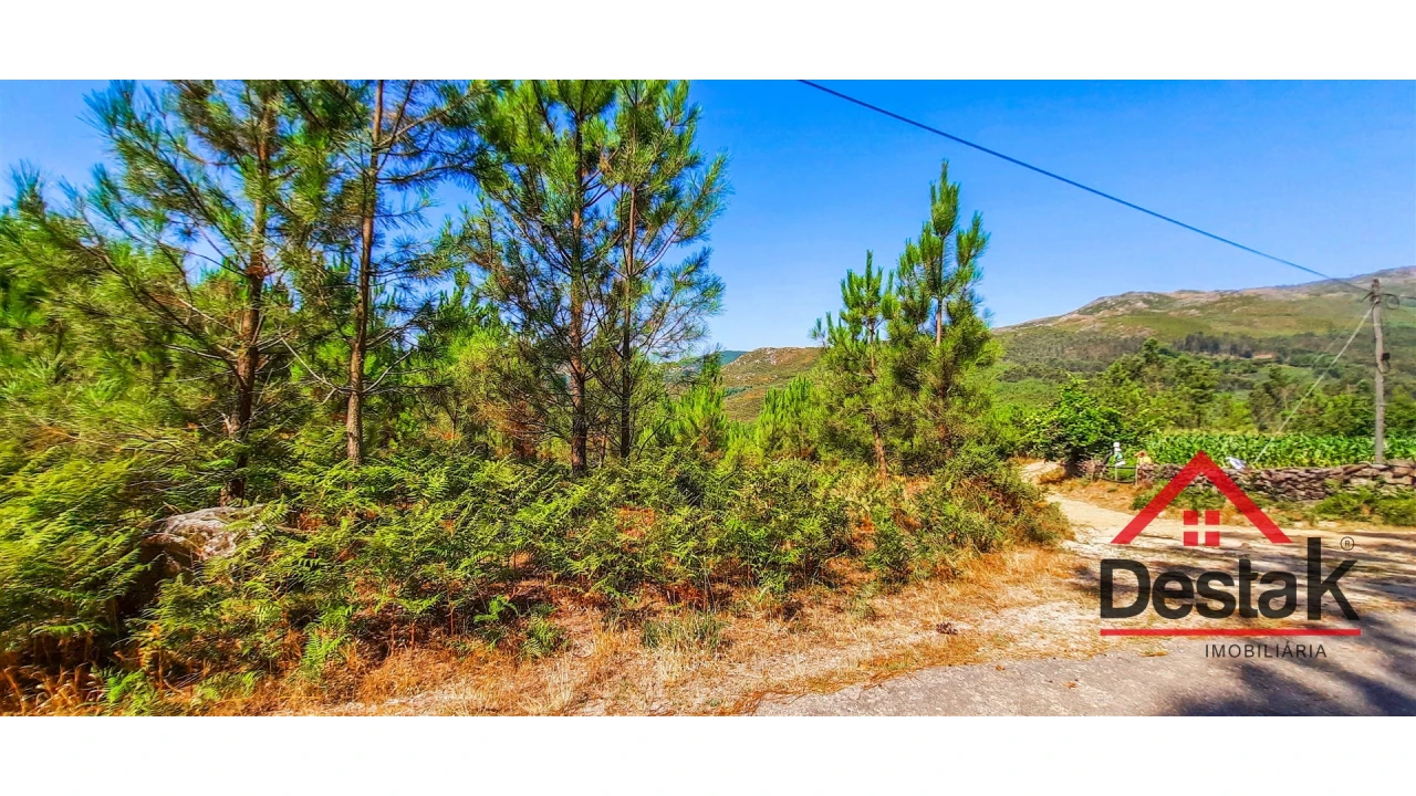 Terreno Agricola ou Rústico para Venda em Santa Cruz da Trapa e São Cristóvão de Lafões Foto 8