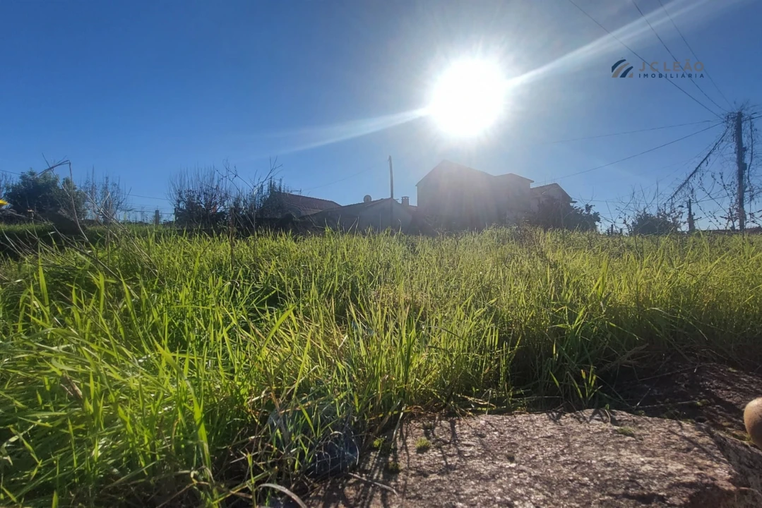 Terreno Agricola ou Rústico para Venda em Abragão Foto 7