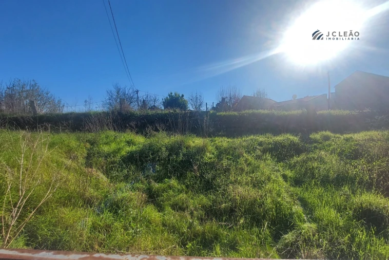 Terreno Agricola ou Rústico para Venda em Abragão Foto 4