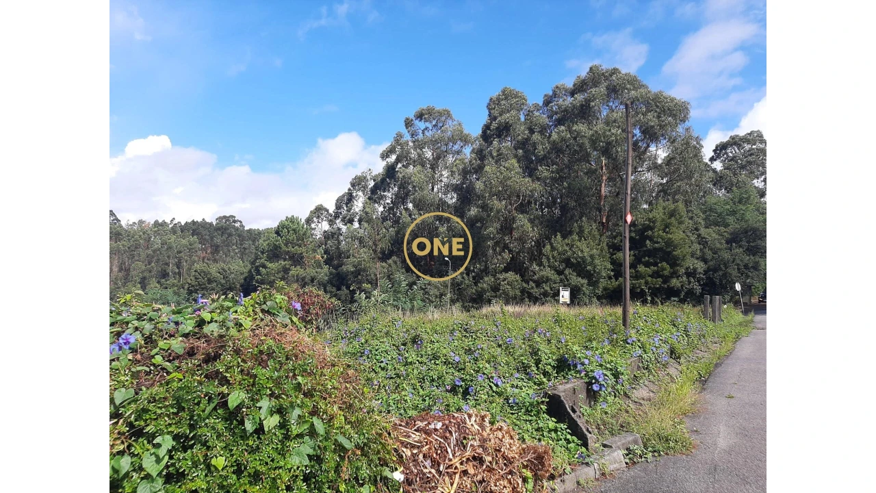 Terreno para Venda em Cruz Foto 3