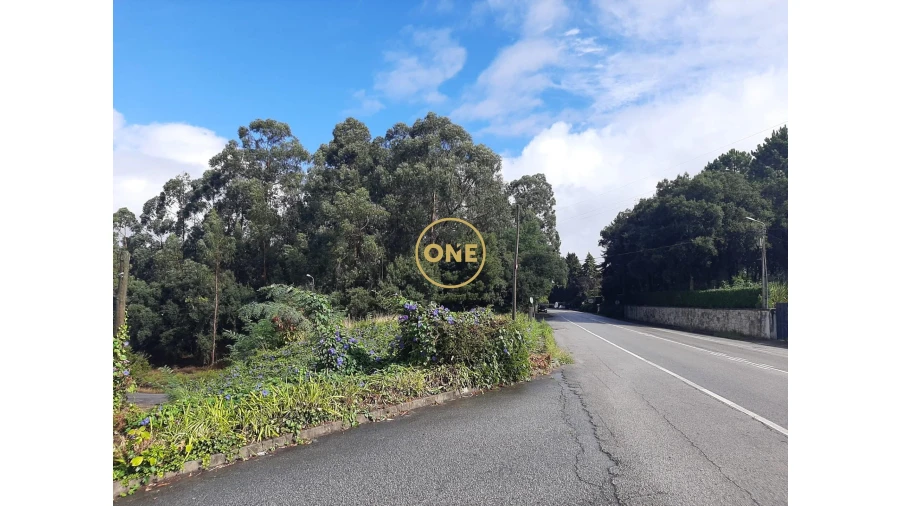 Terreno para Venda em Cruz Foto 2