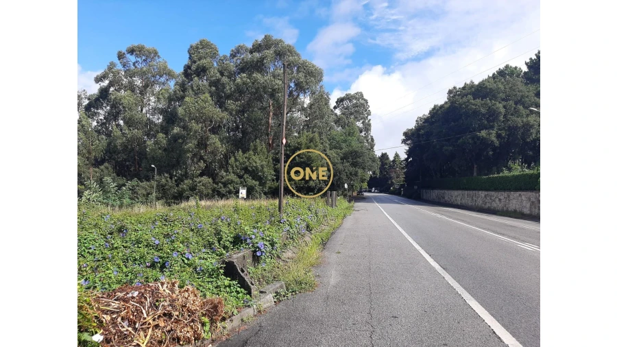Terreno para Venda em Cruz Foto 4