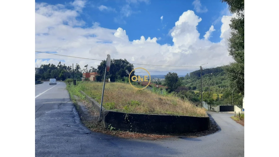 Terreno para Venda em Cruz Foto 10