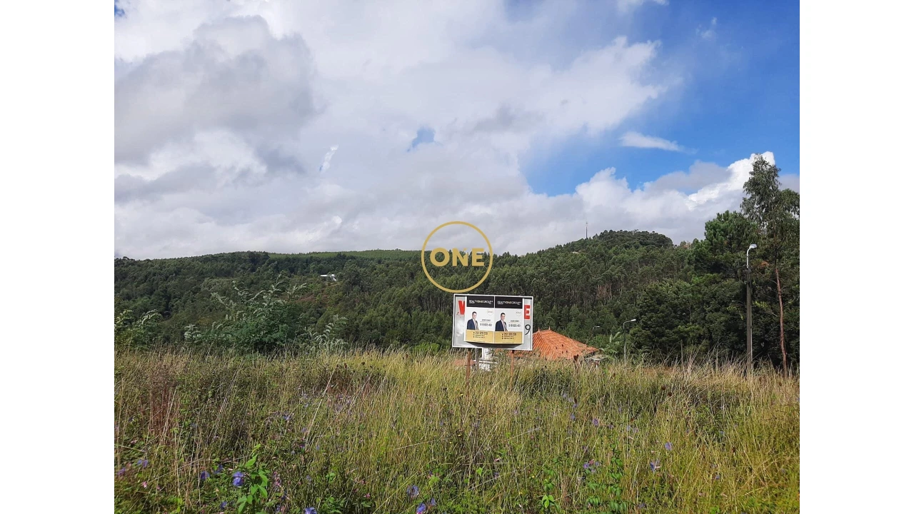 Terreno para Venda em Cruz Foto 6