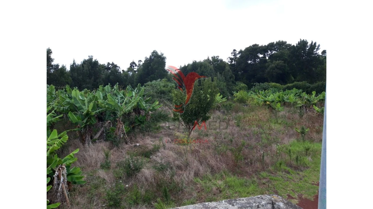 Terreno para Venda em Angra (São Pedro) Foto 7