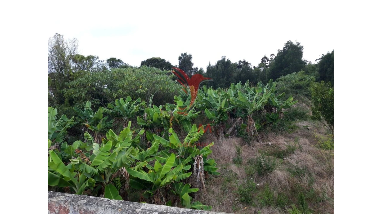 Terreno para Venda em Angra (São Pedro) Foto 6