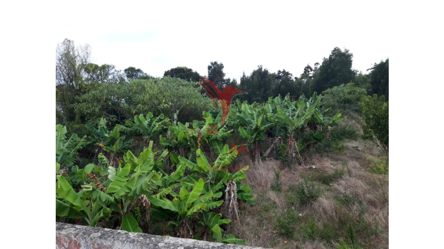 Terreno para Venda em Angra (São Pedro) Foto 6