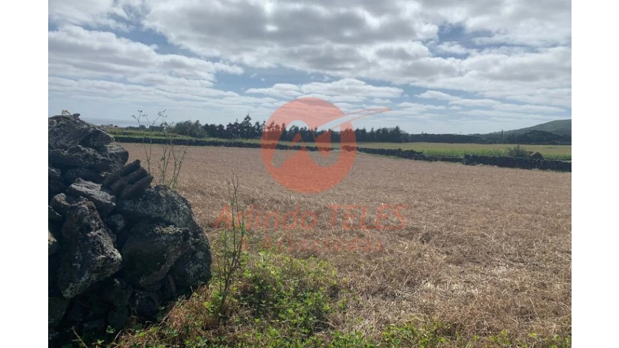 Terreno para Venda em Praia da Vitoria (Santa Cruz) Foto 11