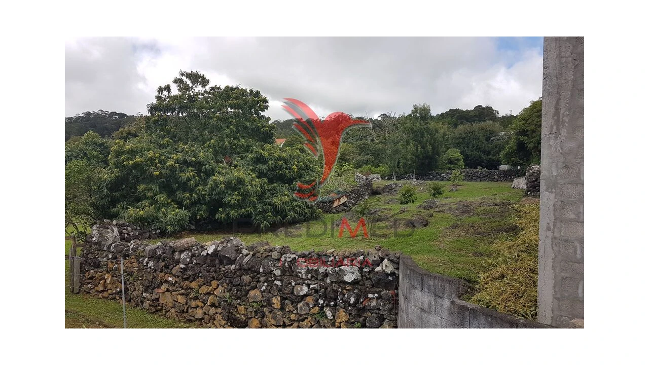 Terreno para Venda em Terra Chã Foto 5