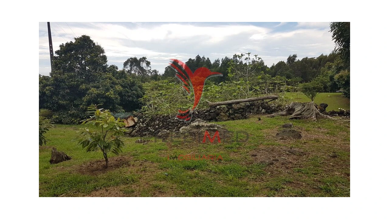 Terreno para Venda em Terra Chã Foto 7