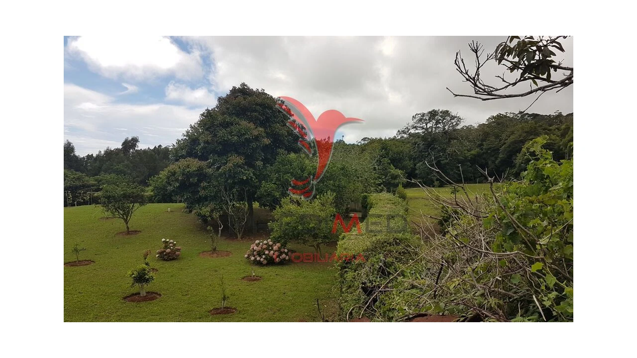 Terreno para Venda em Terra Chã Foto 9