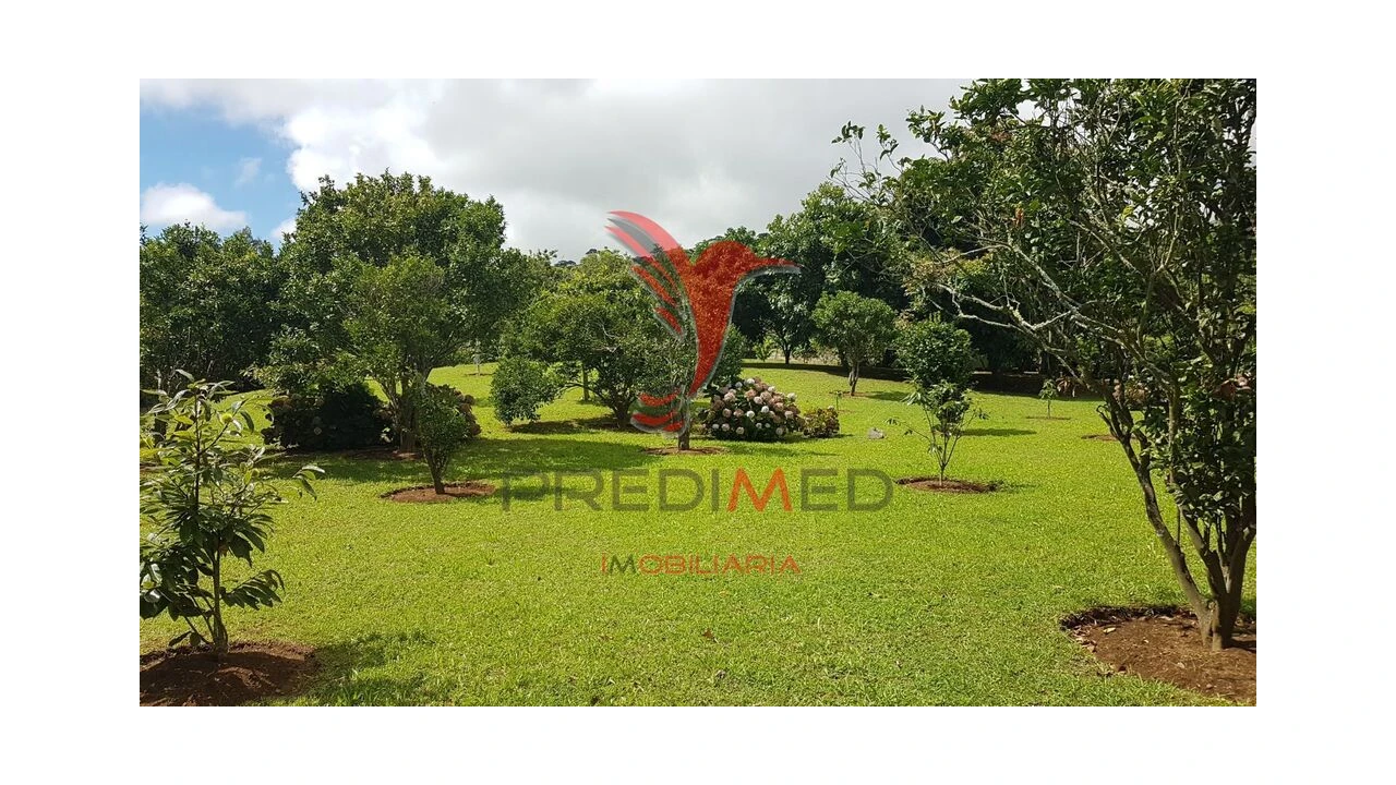 Terreno para Venda em Terra Chã Foto 10