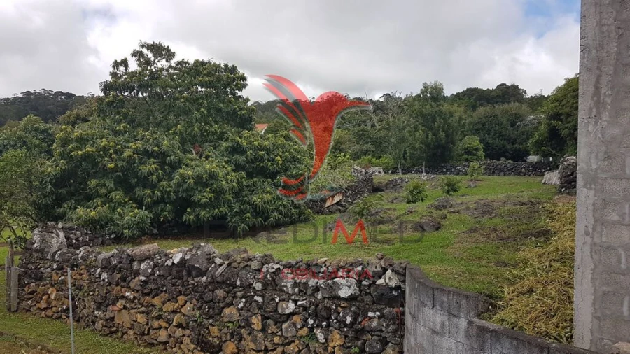 Terreno para Venda em Terra Chã Foto 5