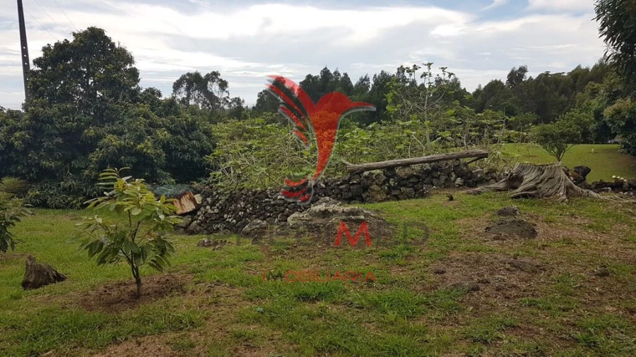 Terreno para Venda em Terra Chã Foto 7