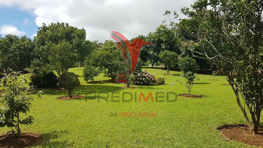 Terreno para Venda em Terra Chã Foto 10