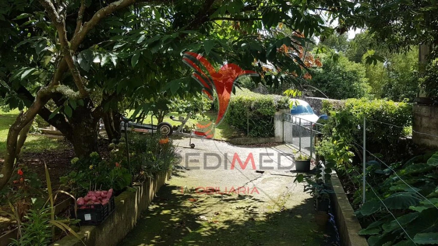 Terreno para Venda em Terra Chã Foto 15