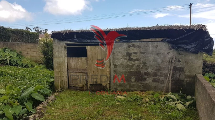 Terreno para Venda em Terra Chã Foto 3