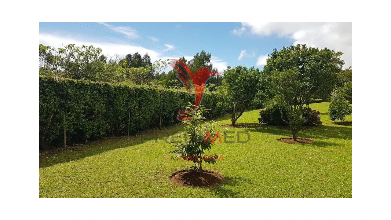 Terreno para Venda em Terra Chã Foto 11