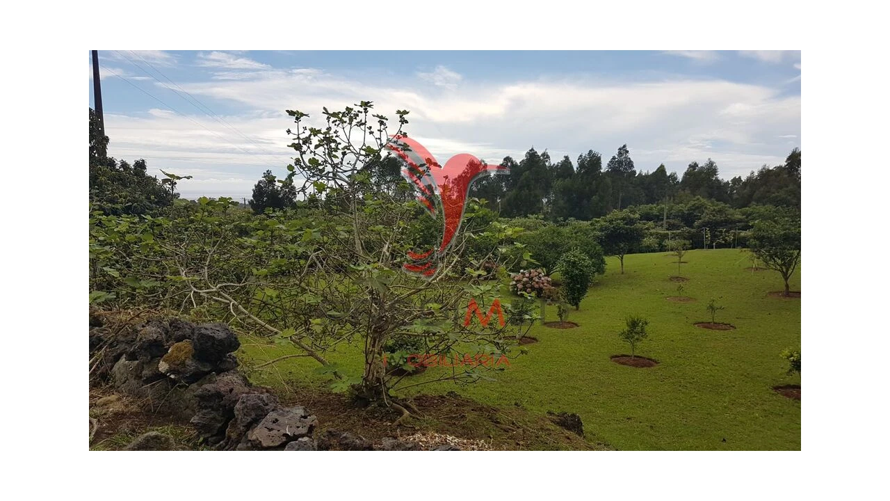 Terreno para Venda em Terra Chã Foto 8