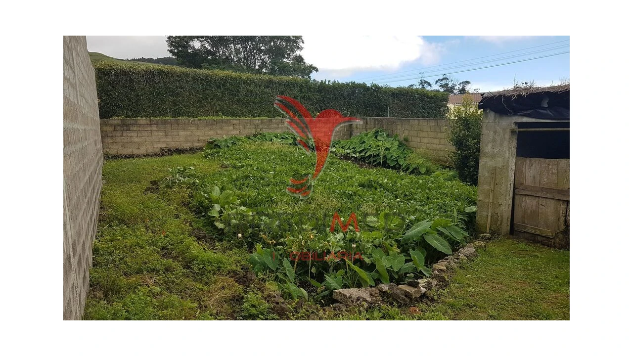 Terreno para Venda em Terra Chã Foto 2