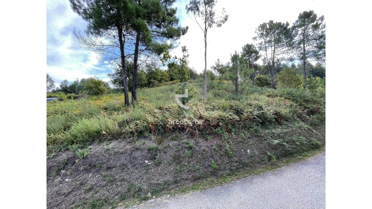 Terreno para Venda em Azere Foto 5